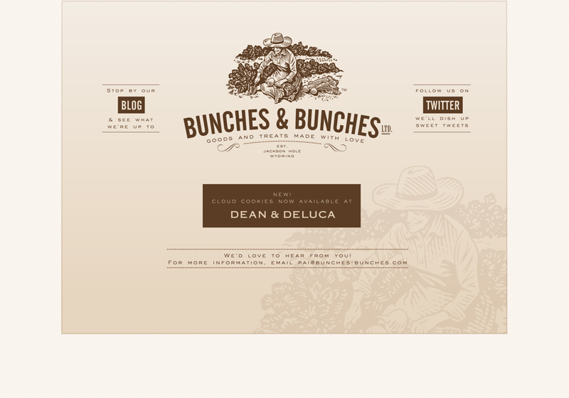 Bunches & Bunches - Branding & Packaging