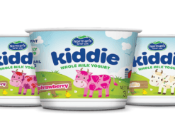Norman's Kiddie Yogurt Packaging Design