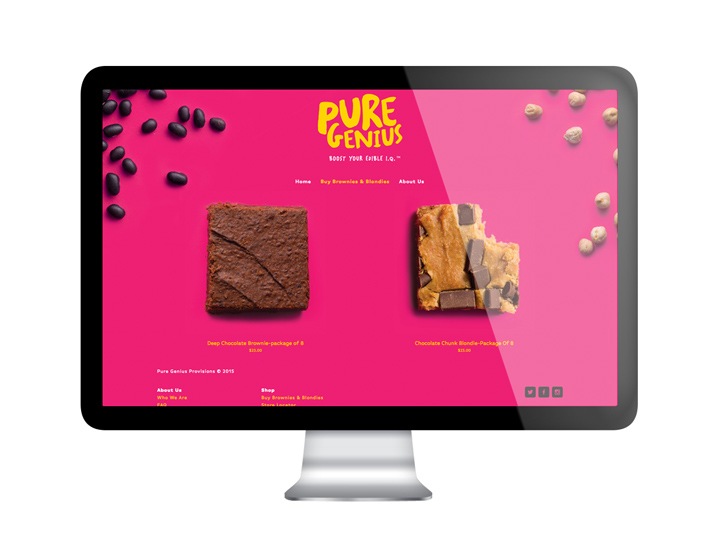 Pure Genius Website Design