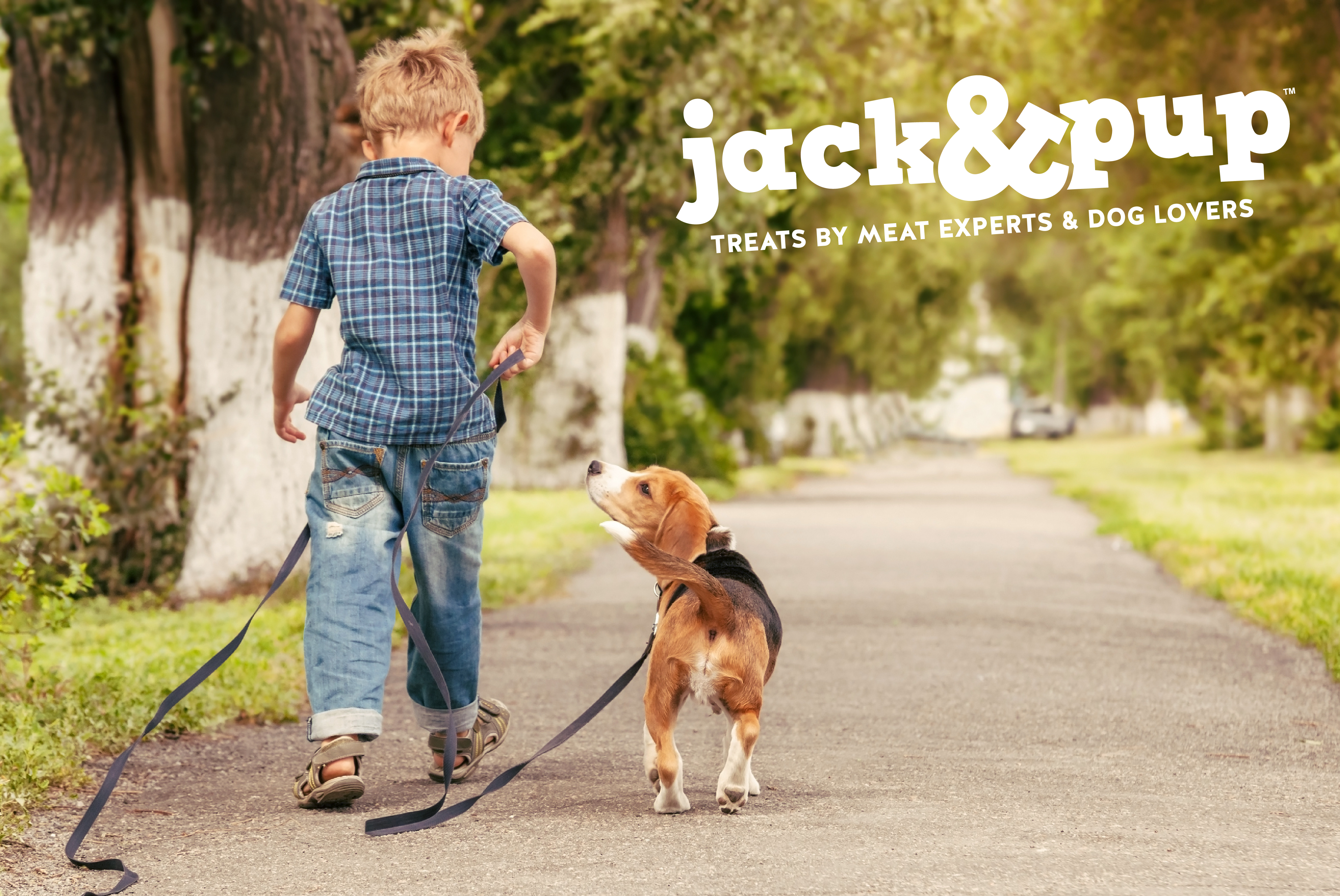 Jack and Pup Dog Treats Branding