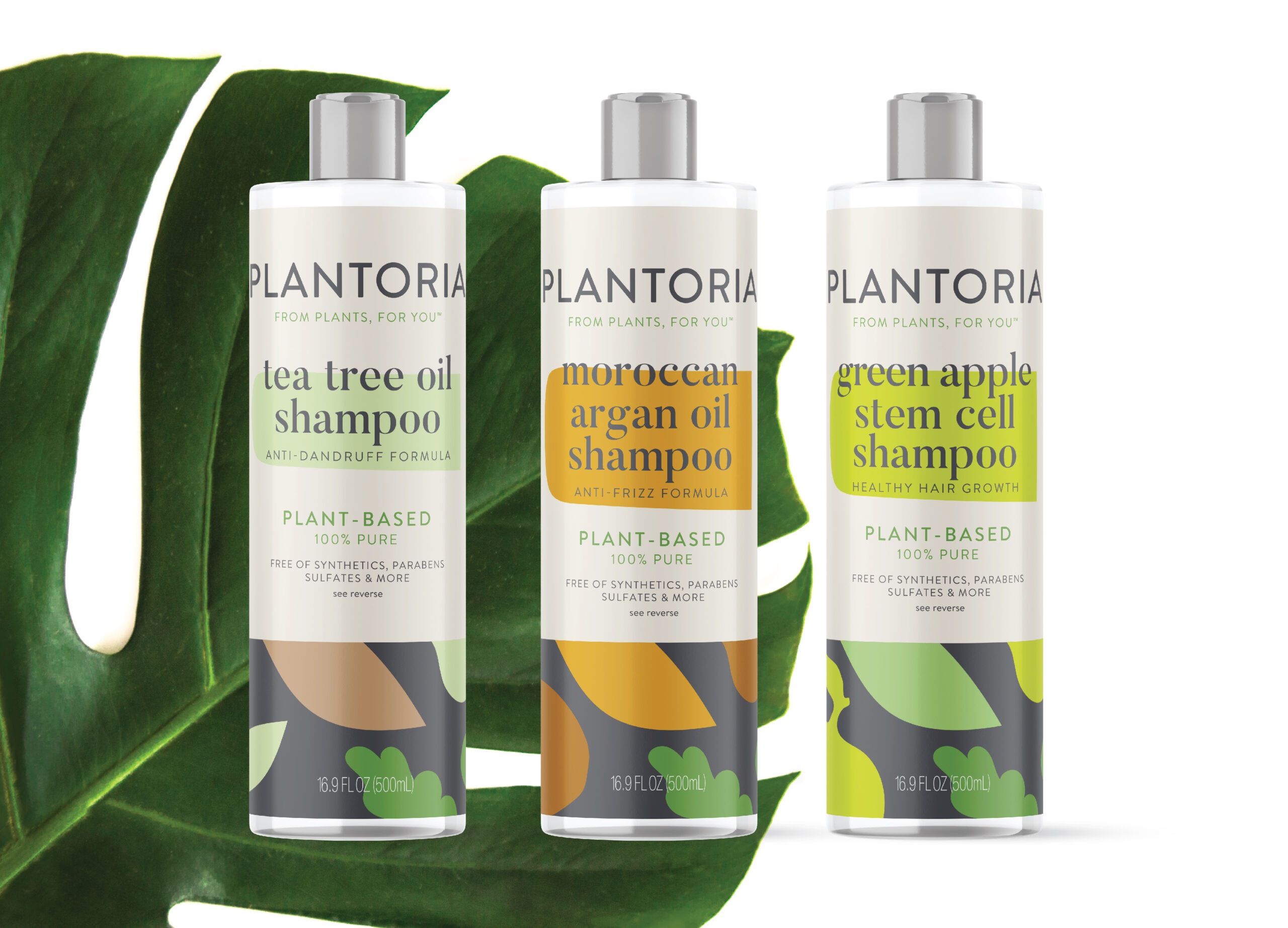 Plantoria Identity and Packaging Design